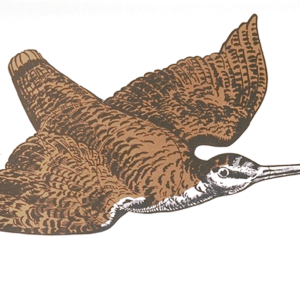 Morkulla papper