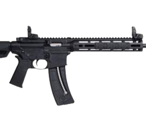Smith & Wesson M&P 15-22 Sport MOE .22LR