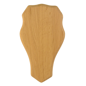 Trofésköld Dovhjort 33x19 cm