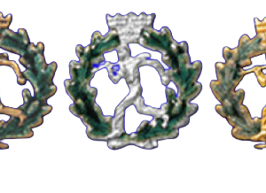 Tvågrensmärke lägre årtal