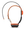 Garmin Alpha T20 hundhalsband