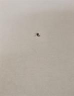 Steel Ball 2,5 DIN 5401