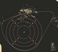 Träffområde älg 80 m papp vänster (2017)