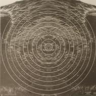 Träffområde Vildsvin 50 m