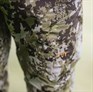 Blaser byxa Airflow Camouflage, C56
