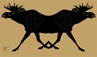 Älg löp 20 m Siames, papper
