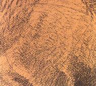 Träffområde löpande älgkalv vänster