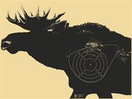 Enkelälg vänster till Sius Ascor Mättavla