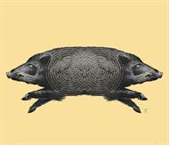 Dubbelsvin till Sius Ascor Mättavla