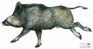 Vildsvin, 95x180 cm, kanalplast