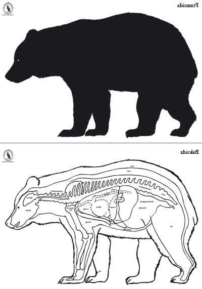 Björn vänster 139x95 cm, papper