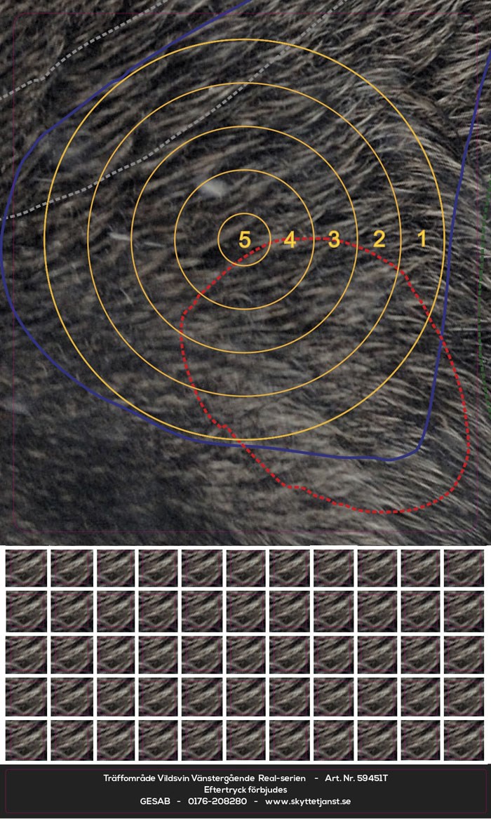 Träffområde Vildsvin vänster Real-serien