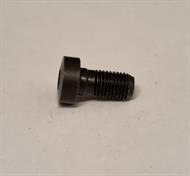 Cheese head screw M6x0,75x12