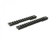 Warne Picatinnyskena Remington 700 short