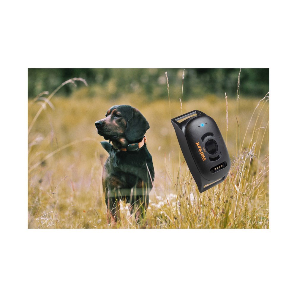Wehunt GPS Dog Tracker II